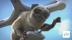 Mahti-Mopsi  (S): 24.05.2020 00.00