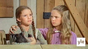 Pesukarhu (7): 01.05.2020 06.00