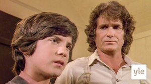 Sukupuu (12): 01.05.2020 10.00