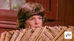 Yhteinen päätös (7): 01.05.2020 10.00