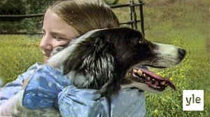 Vanha uusi tulokas (7): 01.05.2020 10.00