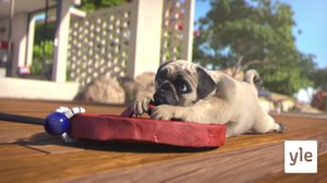 Robottihommia (7): 01.05.2020 06.00