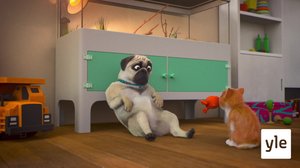 Kanasen paluu (7): 01.05.2020 06.00