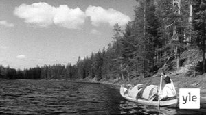 Posion erakko: 04.05.2020 00.01