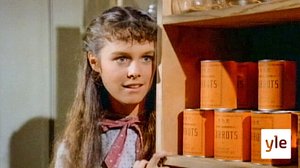 Saanko luvan (S): 01.05.2020 15.00