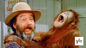 Rakkauden tähden (7): 01.05.2020 15.00