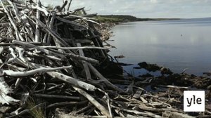 Muisti: Hukutethin kyliäkin: 04.05.2020 14.31