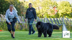 Kotitreenit jatkuvat: 05.05.2020 06.00