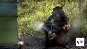 Mehiläishoito (S): 05.05.2020 00.01