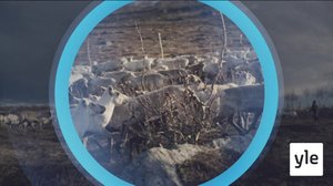 Oddasat: 04.05.2020 22.00