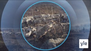 Oddasat: 06.05.2020 22.00