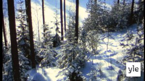 Kevät edistyy: 11.05.2020 00.01