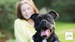 Näytön paikka: 12.05.2020 06.00