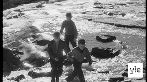 Kevät keikkuen tulevi: 11.05.2020 00.01