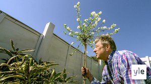 Väriä elämään: 09.05.2020 06.00