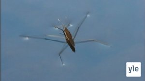 Eteenpäin!: 12.05.2020 17.48