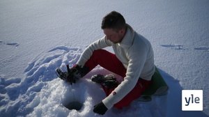 Karhusaari: 14.05.2020 15.15