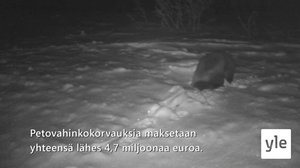 Yle Oddasat: 11.05.2020 16.50