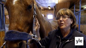 Eläimet lähellä sydäntä: 15.05.2020 16.30