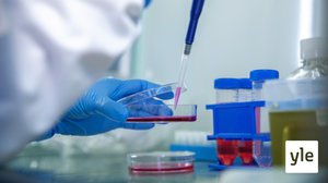 Milloin Suomi saa koronarokotteen?: 12.05.2020 21.34