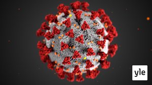 Ulkolinja: Washington vastaan Washington: 18.05.2020 06.00