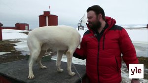 Karhusaari: 21.05.2020 14.40