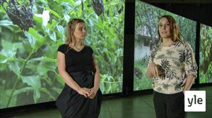 Museum of Becoming: 18.05.2020 15.00