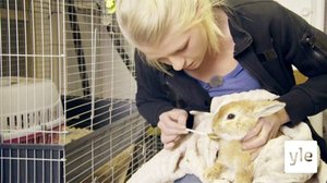 Eläimet lähellä sydäntä: 22.05.2020 14.50