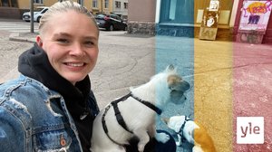 Intresset för matematik större än någonsin: 19.05.2020 15.00