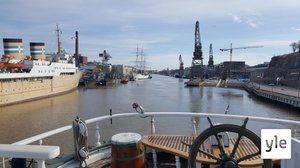 Svenska Yle live: Sigyn slow-tv: 20.05.2020 11.32