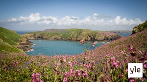 Avara luonto: Walesin karu luonto: 25.05.2020 06.00