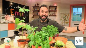 BUU-klubben: 28.05.2020 18.00