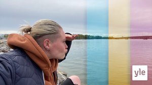 Delfiner i Finland: 25.05.2020 16.00