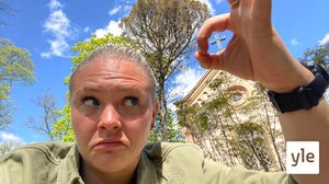 Att höra eller inte höra till kyrkan: 26.05.2020 16.31