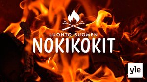 Luonto-Suomen nokikokit: 27.05.2020 21.15