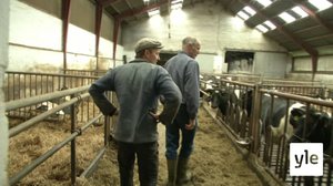 Tanskalainen maajussi: 03.06.2020 17.25