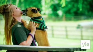 Innokas staffi: 02.06.2020 06.00