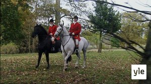 Sama laki kaikille (7): 11.06.2020 06.00