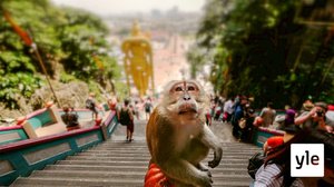 Kuuluisa Kuala Lumpur: 10.06.2020 14.09