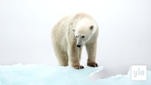 Luontoihmeitä 2018: 10.06.2020 11.00