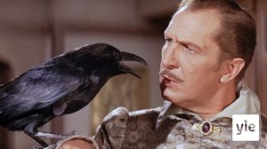 Korppi (7): 12.06.2020 06.00