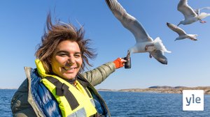 Erlend Elias ja merikotka: 16.06.2020 06.00