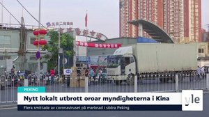 Yle Nyheter TV-nytt: 13.06.2020 18.00