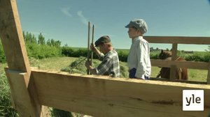 Tanskalainen maajussi: 17.06.2020 17.25