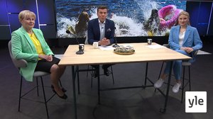 Millainen on Euroopan suurten maiden talouskunto?: 15.06.2020 09.30