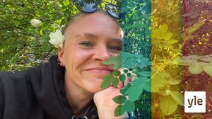 Hajbo Nyheter tar sommarpaus och regeringen har nya förslag: 18.06.2020 16.00