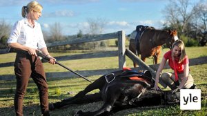 Uusi asuinpaikka (12): 25.06.2020 06.00