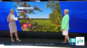 Sääennuste klo 7.40: 24.06.2020 08.02