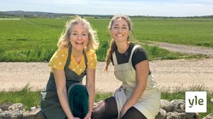 Vegeruoan kuningattaren reseptit: 28.06.2020 06.00