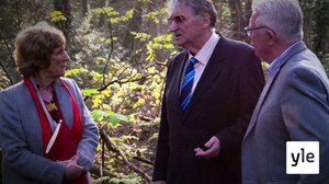 Lauantai-illan kuristaja: 29.06.2020 06.00